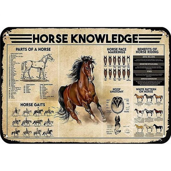 Horse Knowledge 금속 주석 표지판 승마의 장점 레스토랑 카페 레트로 명판 경마장 포스터 바 야외 사인