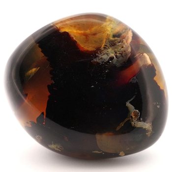 N2 stone Natural 천연 화석 호박 앰버 polished