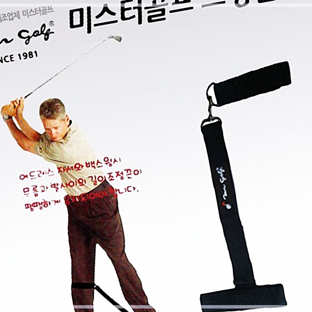 교 연습기 헬퍼 골프 스윙자세 정 NW1F9829