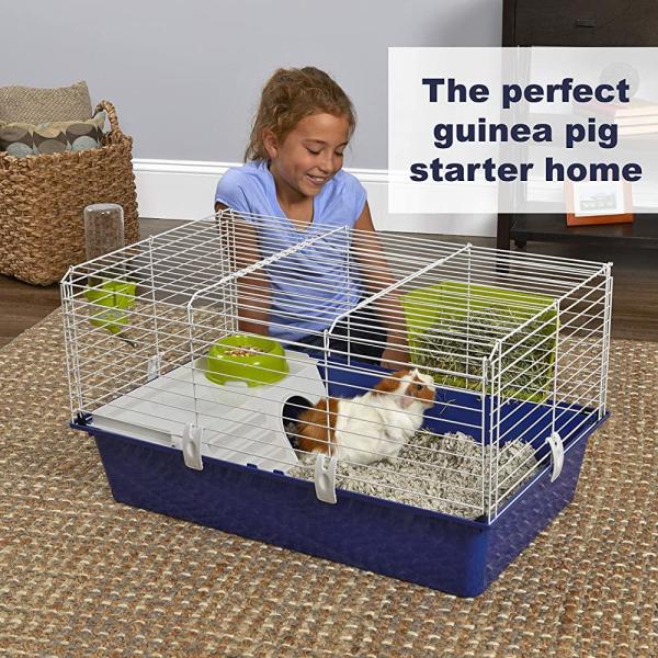 Midwest Homes for Pets Critterville Cleo 기니피그 케이지 모든 액세서리