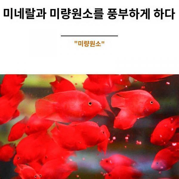 어항여과재 세균집 도자기 환화산석 산호골여과재 정수석여과면 수질배균