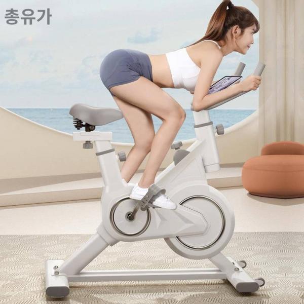 스마트 사이클 마그네트론 가정용 실내 헬스카 헬스 기구 다이어트 초정음 스포츠 자전거