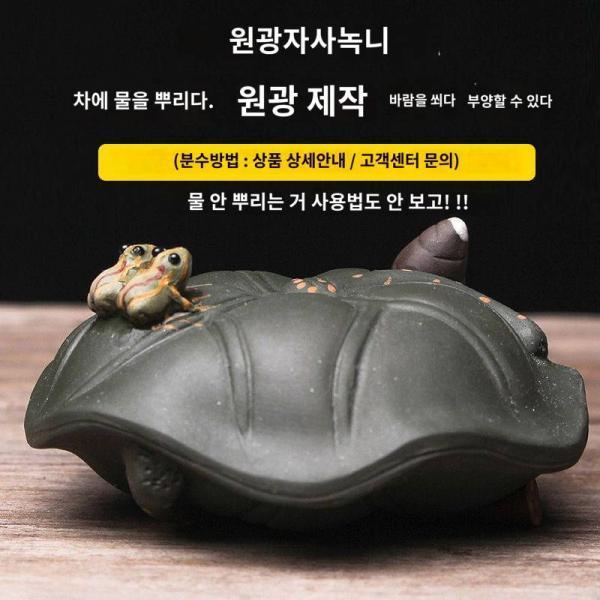 분수차 총애 자사차 총애 부티크 일품 키우기 아이디어 수제차 총애 자사차와 놀기
