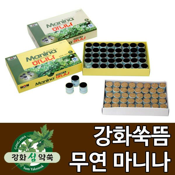 강화도토박이 강화도토박이 햇님 마니나 강 1박스 무연쑥뜸 강화미니뜸 강화쑥뜸