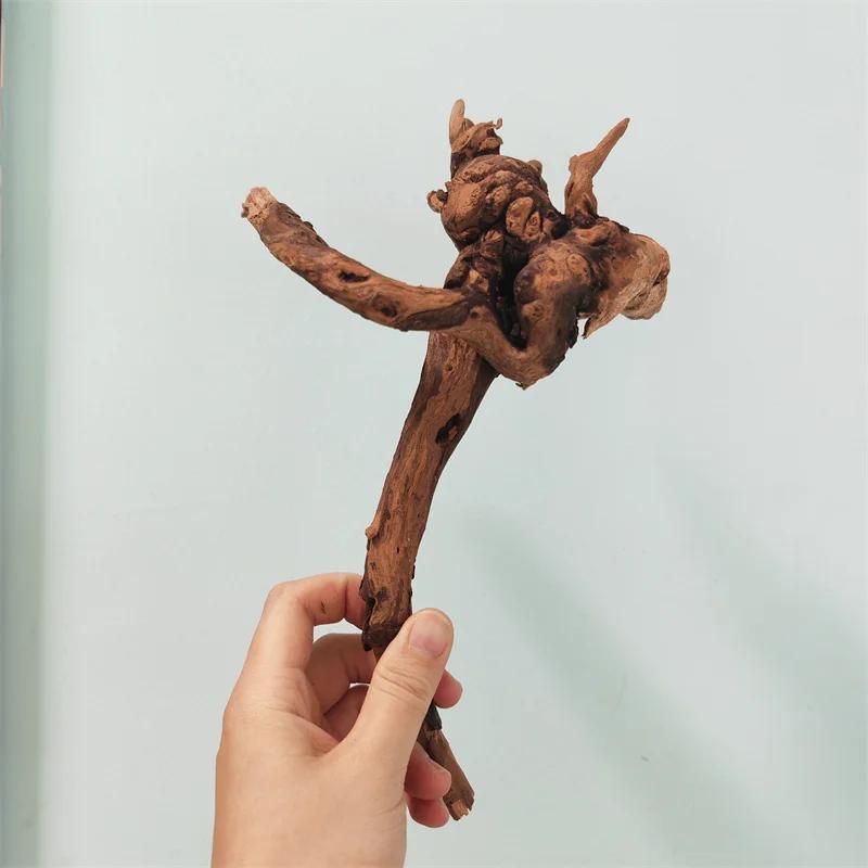 식물 수족관 물고기 그릇 산호 나무 수족관 액세서리 장식 목재 천연 식물 베타 어항 조경