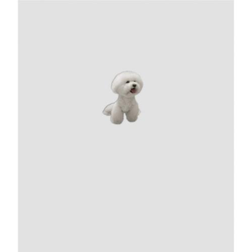 매장상품 라이크더모스트 LIKE THE MOST 비숑 봉봉이 오버핏 스웻셔츠 765336