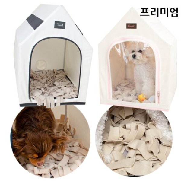 초코펫 드라이하우스 펫 드라이룸 전용 노즈워크 프리미엄