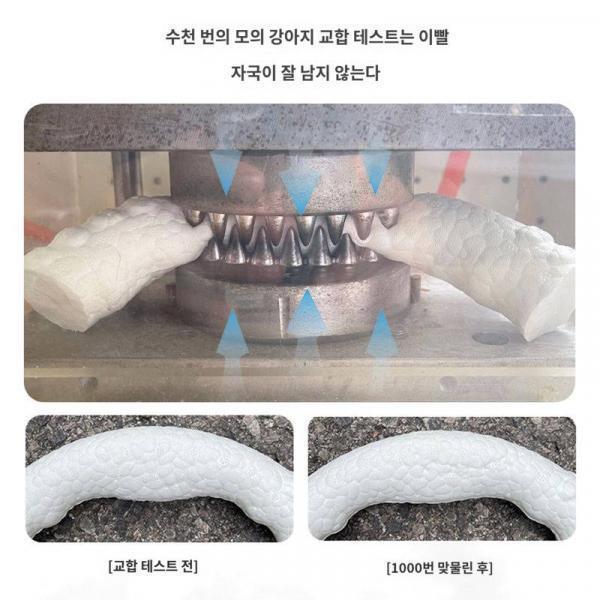 왕차이 GiGwi는 강아지 장난감 플로피 원반 고탄력 물기 아웃도어 인터랙션 훈련에 귀중하다