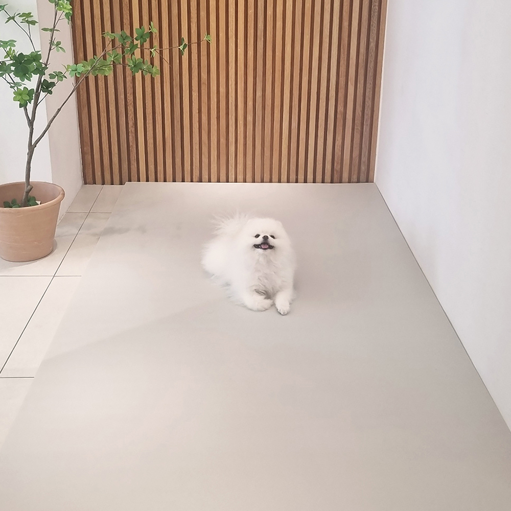 천일카페트 천일카페트 강아지 미끄럼방지 거실 복도 롤 덧매트