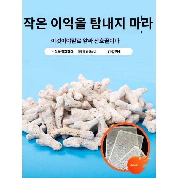 산호골여과재 산호사정수여과재 불순물 흡착 수질산호조경장식 바닥모래