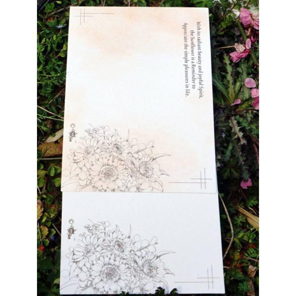 먹스튜디오 Mo 해바라기 B6카드 350g 펄라이트 원고 이염 카드 손글씨 콜라주 하드 캘리그라피