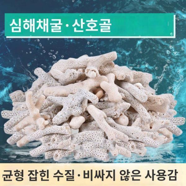 현물 산호골 여과재 어항 조경저사 어조 A 여과재 산호석 수조 해조 내