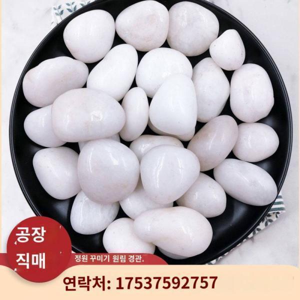 광동 소백 자갈 천연 우화석 다육점 화분 정원 조경 장식 돌