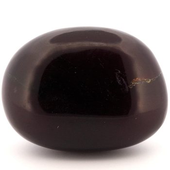 N2 stone Natural 천연 화석 호박 앰버 polished