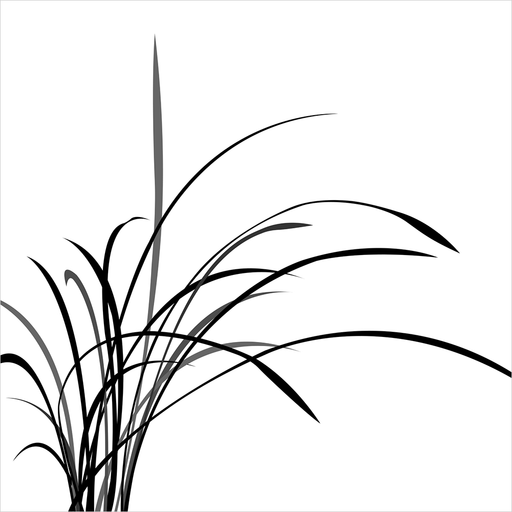 네모 심플 난초 01 일러스트 명화 그림 인테리어 액자 네모 아크릴 원목 액자 8X12 20 심플 32X30