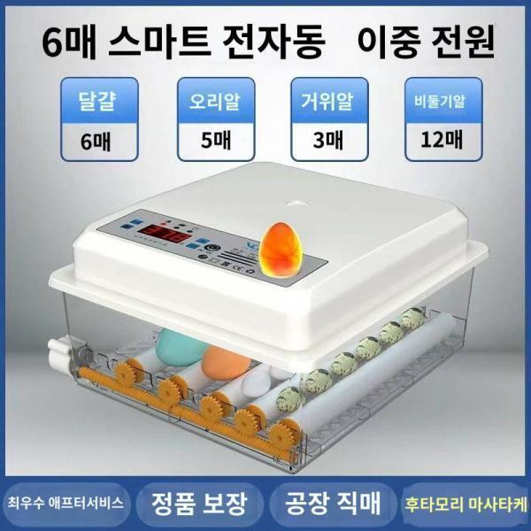 앵무새 전용 인큐베이터 소형 인큐베이터 루틴 닭 인큐베이터 가정용 인큐베이터 닭과 오리 스마트 풀