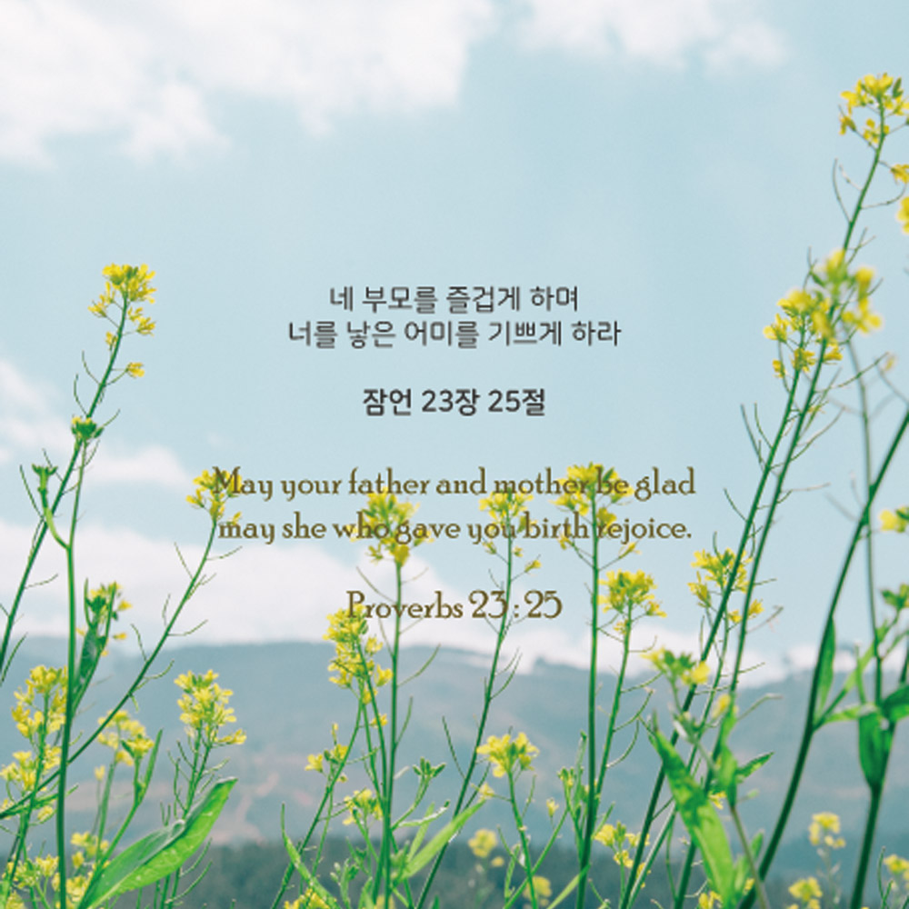 대양 성경말씀 안경닦이 S -100장 9번-잠언 23장 25절