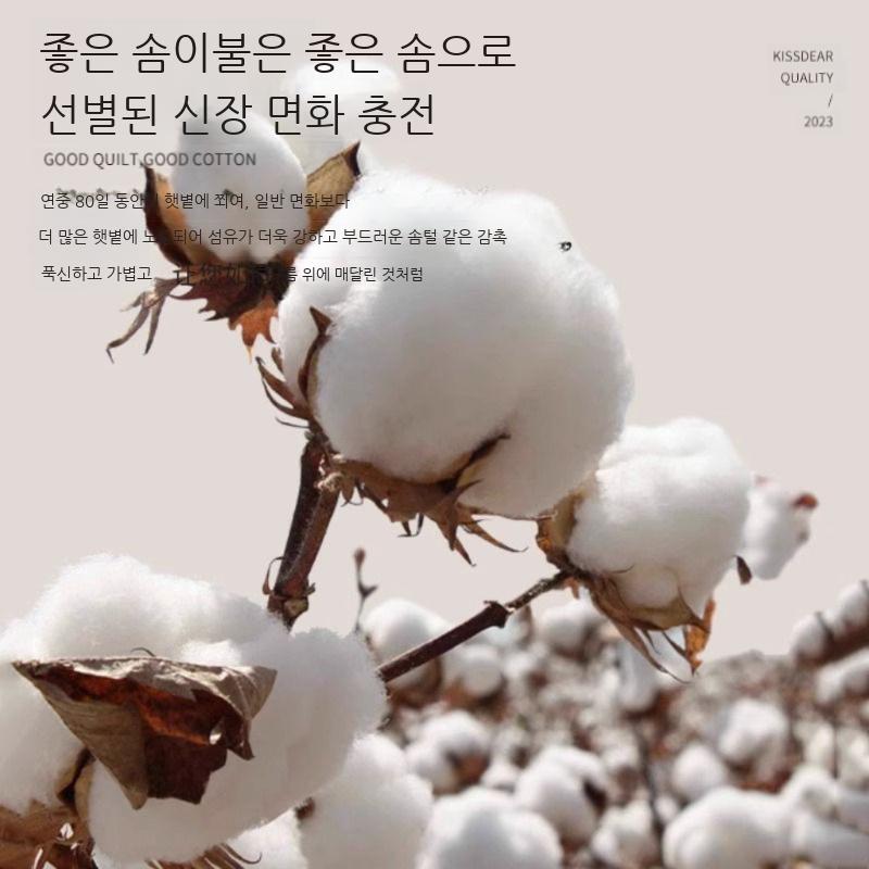 목화 솜 이불 목화솜 겨울 두꺼운 호텔 부드러운 더블 고급 사계절