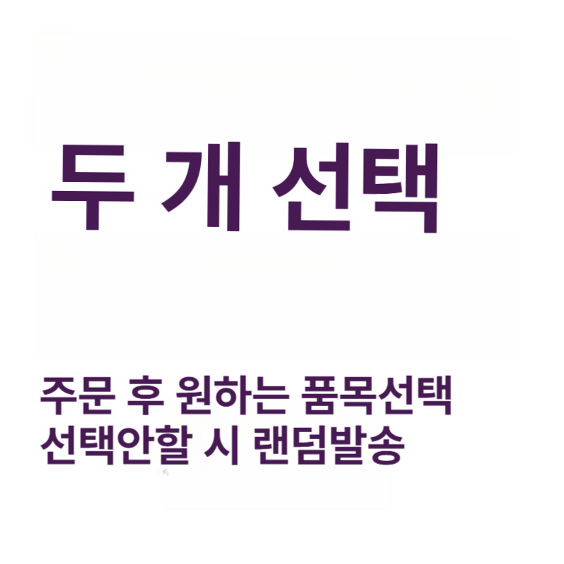 픽플레이스 사카모토데이즈굿즈 캐릭터용품 선물 뱃지 컬렉션 사카데이 거울 키링