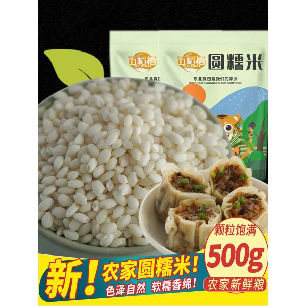 당기 전용 진주 현미 잡곡 500g 신미 계절