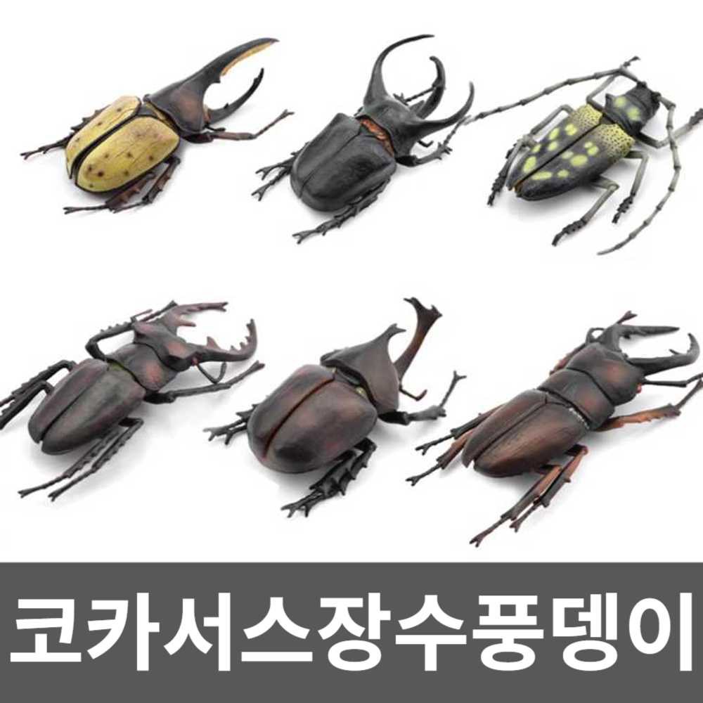코카서스장수풍뎅이 오각뿔장수풍뎅이 집꾸미기 세트 벌레 장식 곤충 오각뿔 피규어 어처