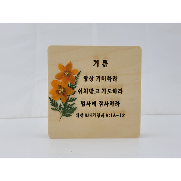 앞화생화액자 희락기쁨능력 각인가능