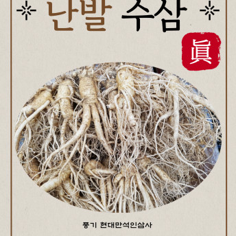 깨끗한A급 풍기인삼 600g 세척난수삼 무료택배 무료세척 6년근 5년근인삼 현대만석인삼사