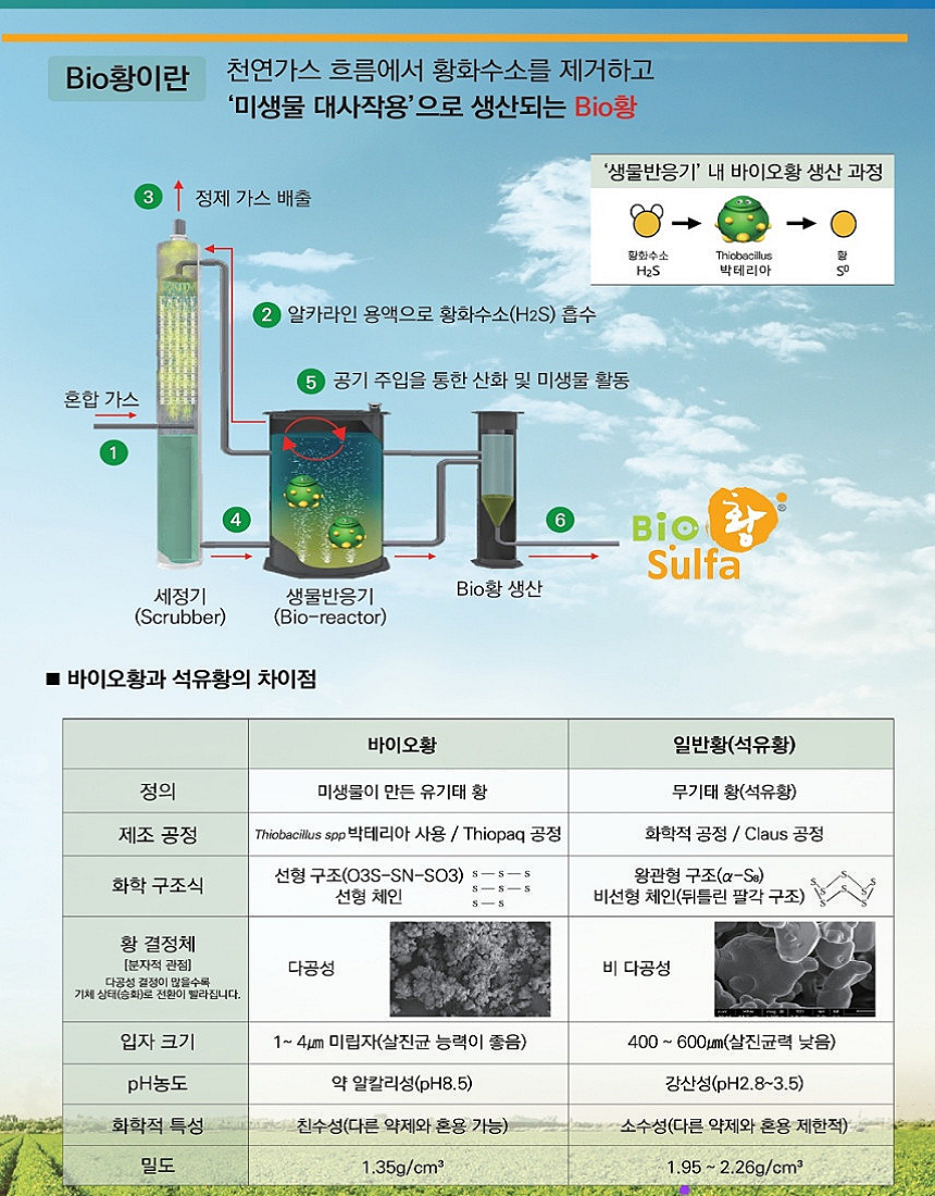 바이오황 다싹 4종복합비료 500g 유기능 살균제 살충제 노균병 흰가루병 탄저병
