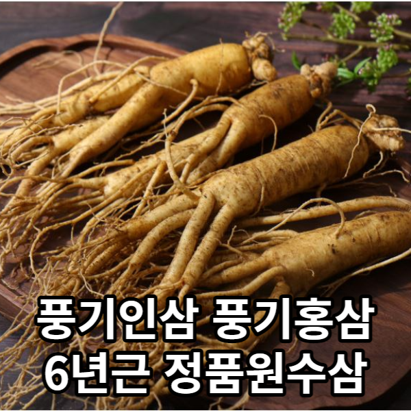 풍기인삼 수삼 5년근 6년근 정품원수삼 난발삼 정품원수삼 750g 18-25뿌리 1개