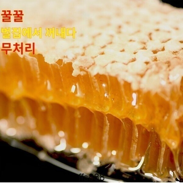 1 1 국산토종꿀500g 벌원토꿀벌집꿀산꽃벌집꿀 싸리꿀