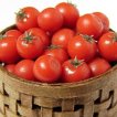 [과일천하 무료배송] 새콤달콤 방울토마토 (3-4번) 2Kg/5Kg /토마토[포인트 100% 사용가능/포인트+쿠폰 중복적용]