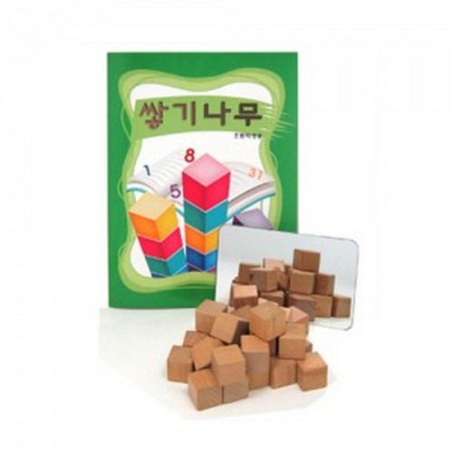 쌓기나무 활용책 + 비취목 쌓기나무 100개 + 대칭거울