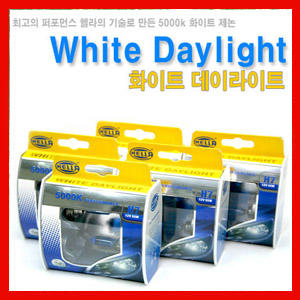 화이트 데이라이트