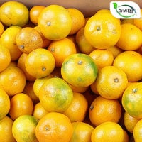 [200개한정] 제주감귤 감사특가 10kg 7번,8번 옵션확인필,품질비교 귤/밀감/귤10kg