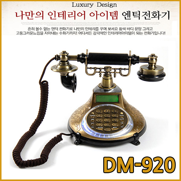 대명전자통신 DM-920