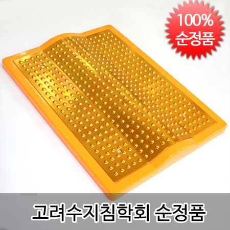 고려수지침학회 발판지압 C형